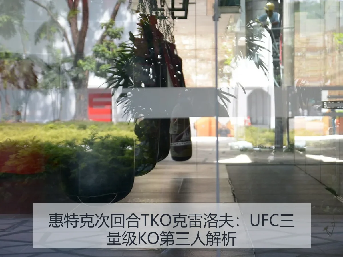 惠特克次回合TKO克雷洛夫:UFC三量级KO第三人解析